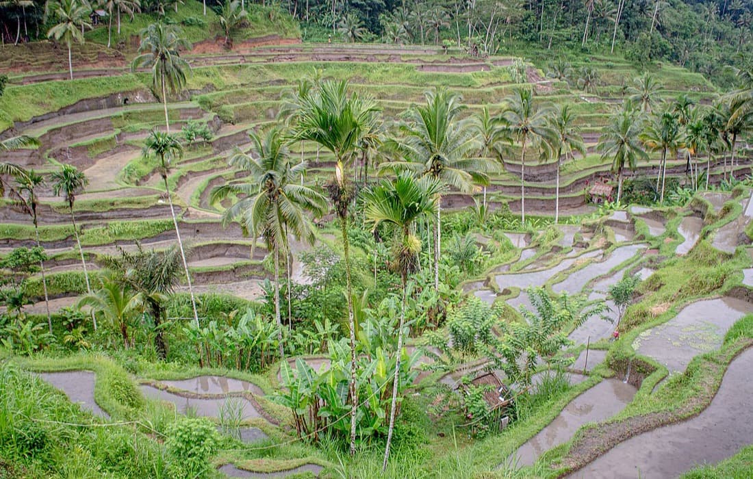 Tim pengukuran meninjau bidang tanah