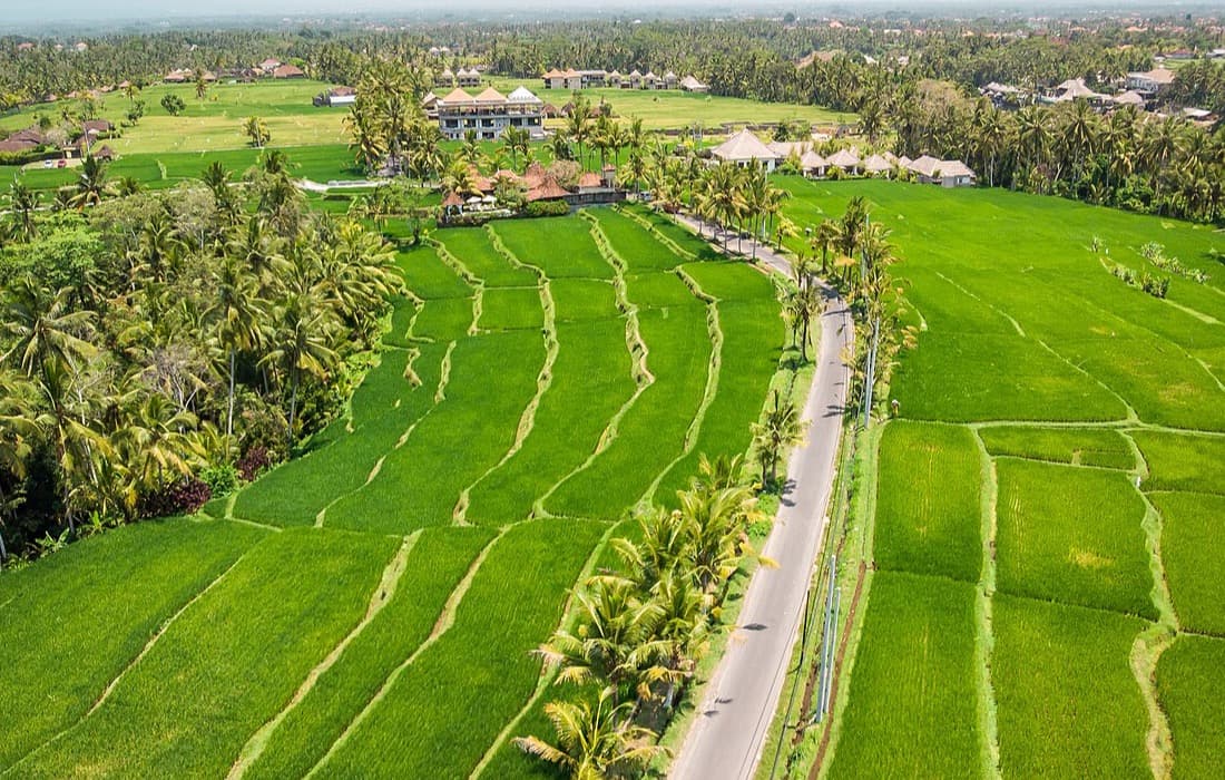 Proses pengukuran dan pemeriksaan bidang tanah