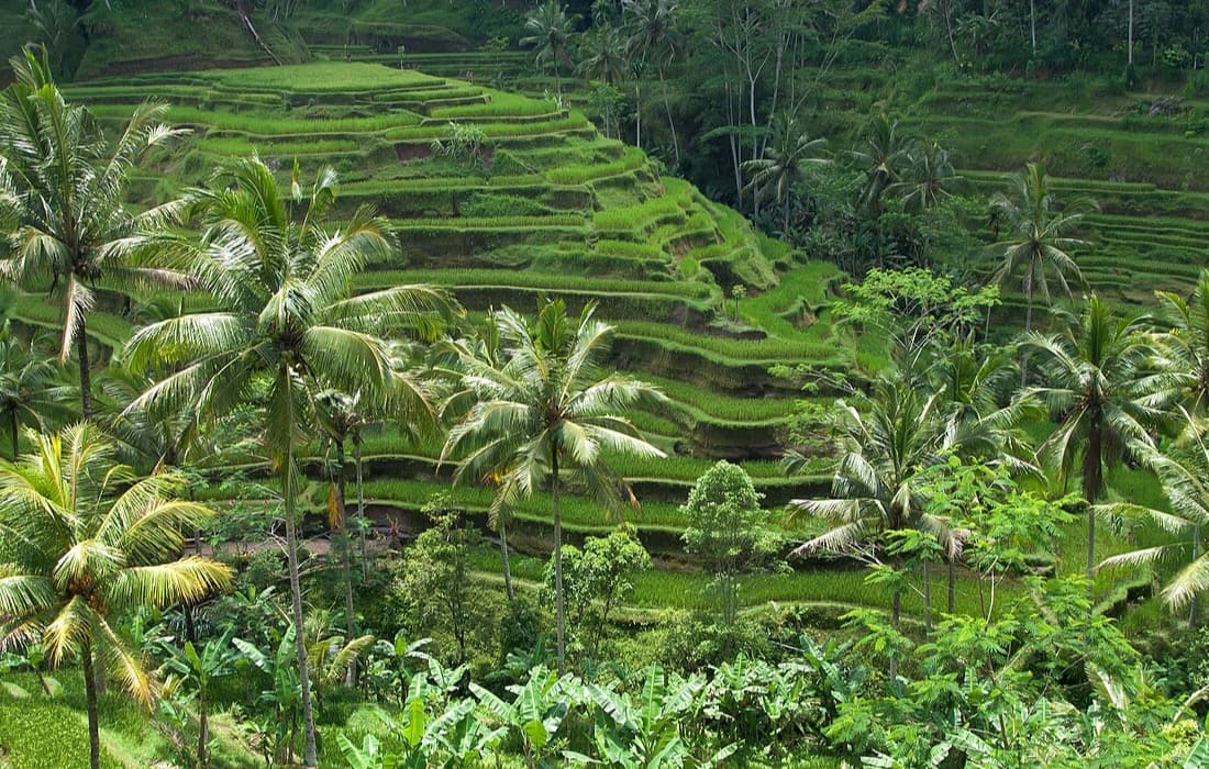 Patok batas bidang di lapangan