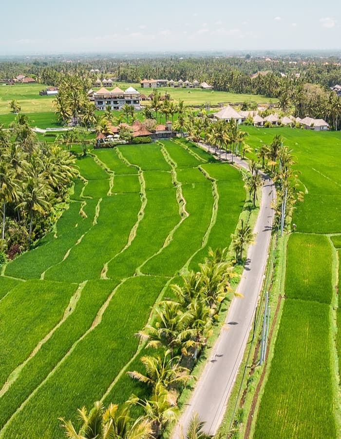 Bentang persawahan dan akses jalan menuju bidang Bumi Realty