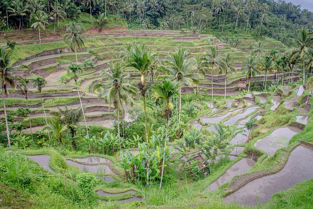 Foto udara proyek Batuan