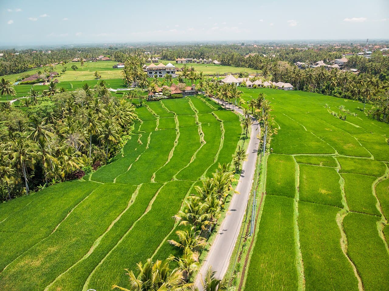 Bentang persawahan hijau di Kabupaten Gianyar, Bali